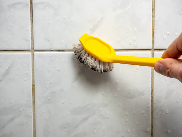 Best Affordable Mold Removal  in Sebewaing, MI