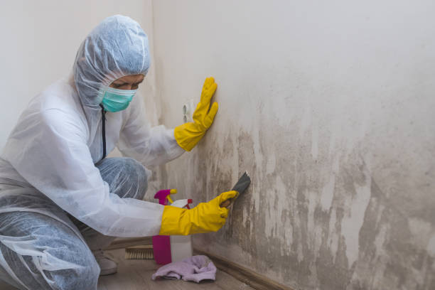 Water Damage Restoration in Sebewaing, MI
