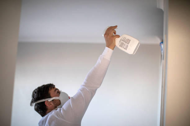 Best Professional Mold Removal  in Sebewaing, MI