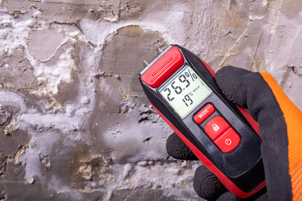 Best Office Mold Removal Services  in Sebewaing, MI